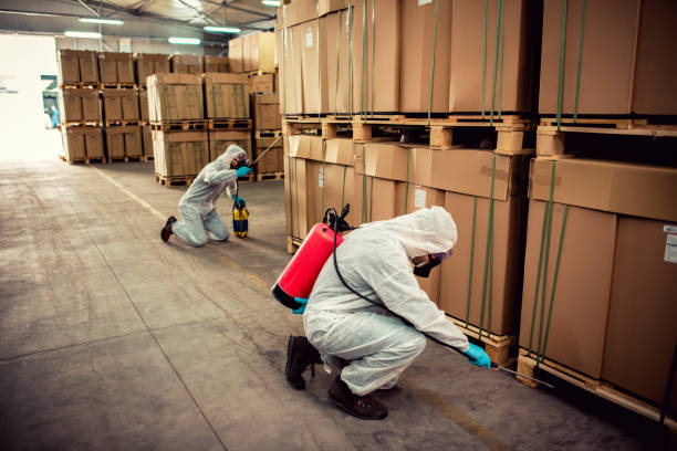 Best Flea Control Services  in Jena, LA