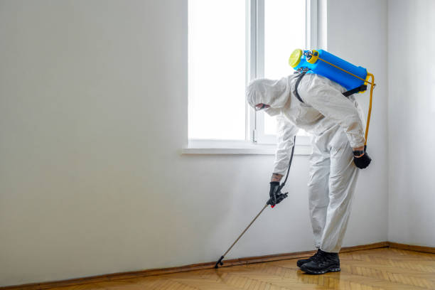 Best Mosquito Control Services  in Jena, LA