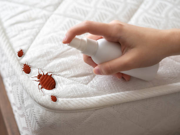 Best Best Pest Control Companies  in Jena, LA
