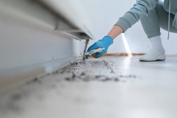 Reliable Jena, LA Pest Control Solutions
